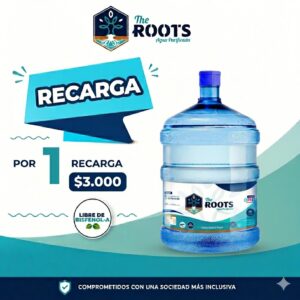 Recargas de 20 litros de agua purificada a domicilio