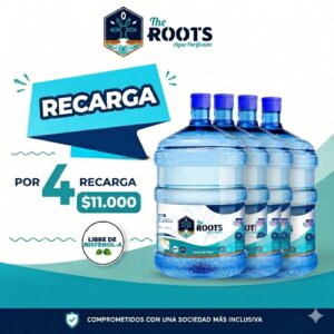 4 Recargas de 20 litros de agua purificada a domicilio