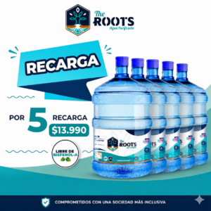 5 Recargas de 20 litros + de agua purificada a domicilio + ñuñoa