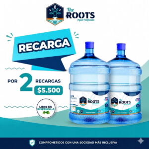 2 Recargas de 20 litros de agua purificada a domicilio