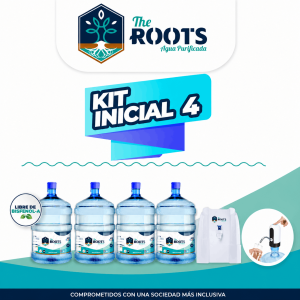 Kit inicial – 4 Bidones de 20L + 1 Dispensador Básico Blanco o USB + Despacho Incluido