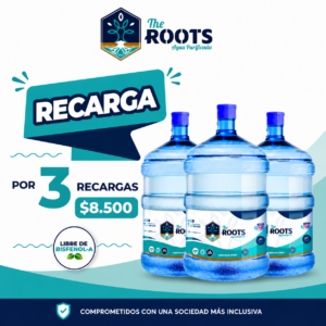 3 Recargas de 20 litros de agua purificada a domicilio