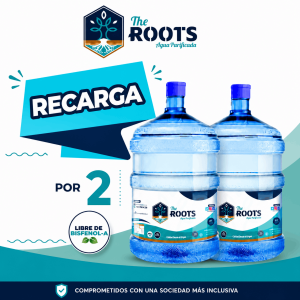 2 Recargas de 20 litros de agua purificada + Despacho Incluido