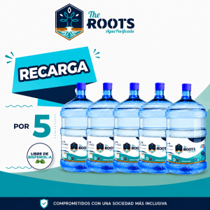 5 Recargas de 20 litros + Despacho Incluido